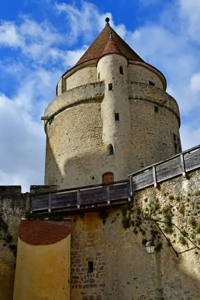 Blandy Les Tours Frankreich August 2020 Das Historische Schloss Aus — Stockfoto