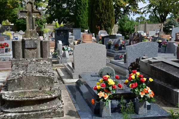 Sainte Genevieve Des Bois France Août 2020 Pittoresque Cimetière Russe — Photo