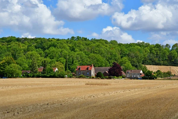 Sagy Frankrike Augusti 2020 Landsbygden — Stockfoto