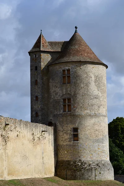 Blandy Les Tours Francia Agosto 2020 Castillo Histórico Del Siglo — Foto de Stock