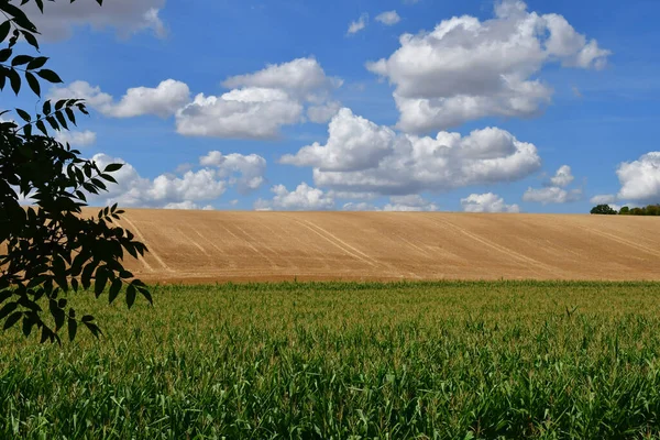 Vigny France Août 2020 Paysage Rural — Photo