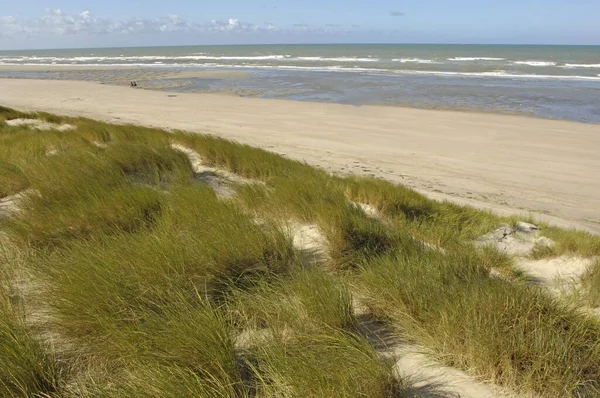 Touquet Frankrike April 2017 Sanddynerna — Stockfoto