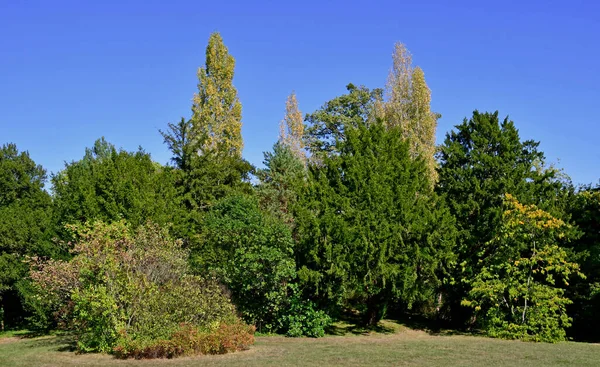 Versalles Francia Septiembre 2020 Parque Aldea Reina Finca María Antonieta — Foto de Stock