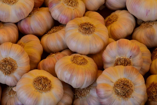 Versailles France February 2021 Garlic Market — Stock Photo, Image