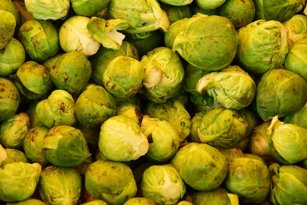 Conflans Sainte Honour Ine France February 2021 Brussels Sprouts Sunday — 图库照片