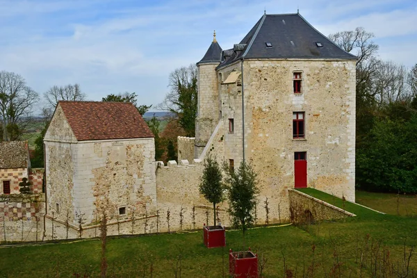 Arthies Frankreich Februar 2021 Das Schloss — Stockfoto