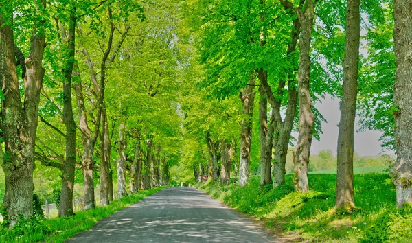 Fontenay Saint Pere Francia Abril 2020 Una Carretera Rural —  Fotos de Stock