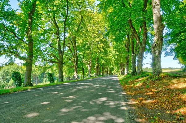 Fontenay Saint Pere Francia Abril 2020 Una Carretera Rural —  Fotos de Stock