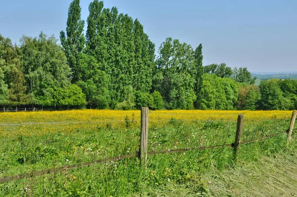 Lainville Vexin France June 2017 Meadow Village — Stock Photo, Image