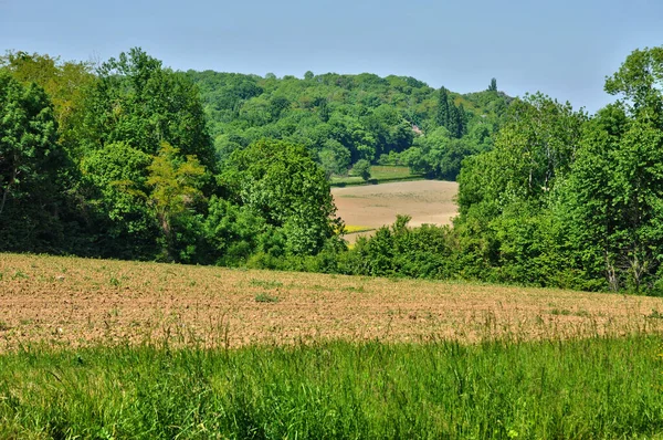 Lainville Vexin Frankreich Juni 2017 Wiese Der Nähe Des Dorfes — Stockfoto