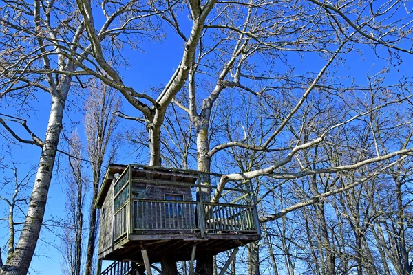 Saint Cyr Ecole France February 2021 Hut Tree Les Fermes — Stock Photo, Image