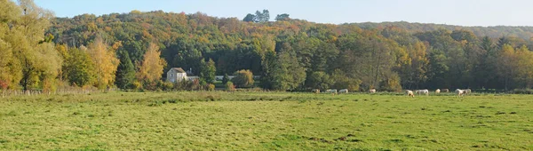 Saint Lambert Des Bois France Juin 2018 Campagne Pittoresque — Photo