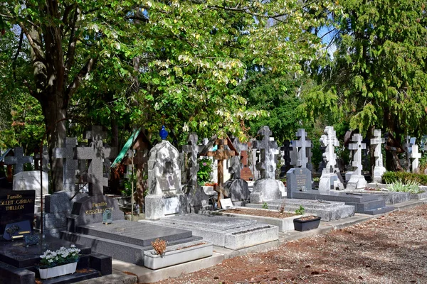 Sainte Genevieve Des Bois Francia Agosto 2020 Pittoresco Cimitero Russo — Foto Stock
