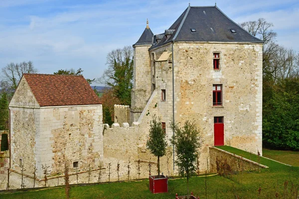 Arthies Frankreich Februar 2021 Das Schloss — Stockfoto