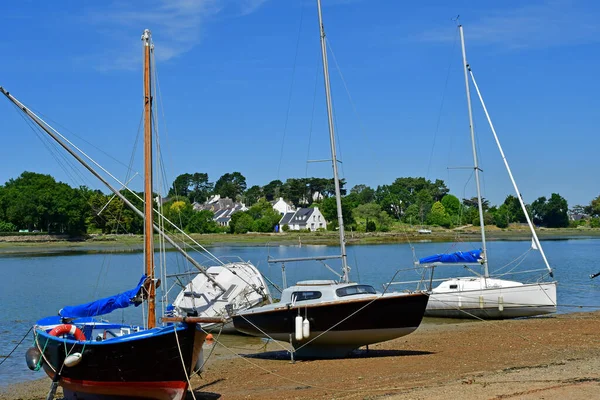 Sarzeau Francia Giugno 2021 Sentiero Skol Louarn — Foto Stock