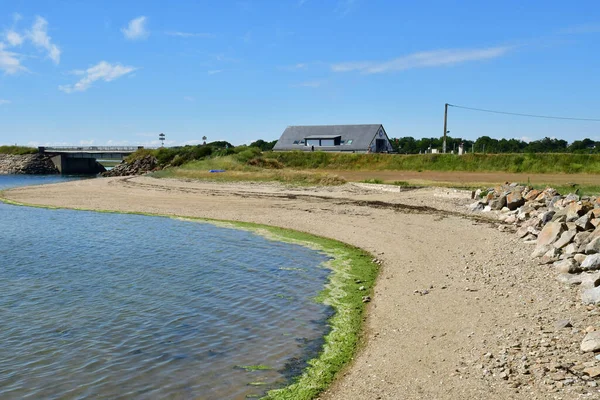 Tour Parc Frankrike Juni 2021 Landskap Runt Banastere Byn — Stockfoto