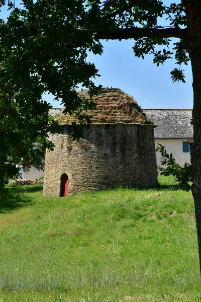 Sarzeau França Junho 2021 Castelo Suscinio Dovecote — Fotografia de Stock