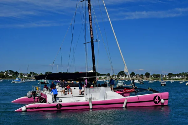 Arzon France June 2021 Pink Catamaran Port Port Navalo — Stock Photo, Image