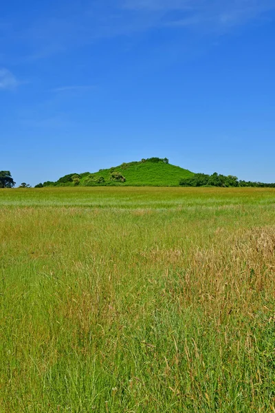 Arzon Frankrijk Juni 2021 Caesar Kleine Heuvel — Stockfoto