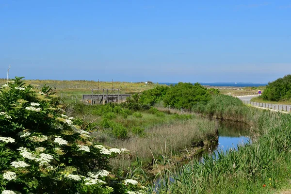 Saint Gildas Rhuys Francia Junio 2021 Paisaje Rural Alrededor Saint —  Fotos de Stock