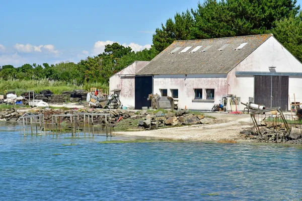 Tour Parc Francie Červen 2021 Krajina Kolem Obce Banastere — Stock fotografie