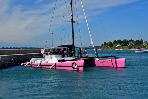 Arzon France June 2021 Pink Catamaran Port Port Navalo — Stock Photo, Image