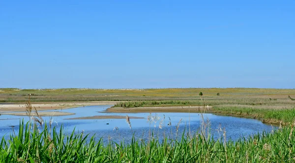 Saint Gildas Rhuys France Juin 2021 Paysage Champêtre Autour Saint — Photo