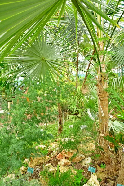 Paris Frankrike Juli 2021 Auteuil Greehouses Trädgård Skapades 1898 — Stockfoto