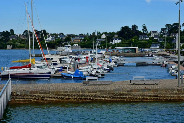 Francia Giugno 2021 Ile Aux Moines Nel Golfo Del Morbihan — Foto Stock