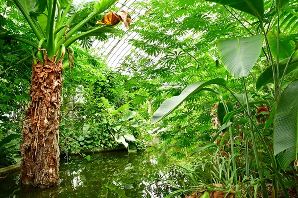 Paříž Francie Červenec 2021 Zahrada Zelené Louce Auteuil Byla Vytvořena — Stock fotografie