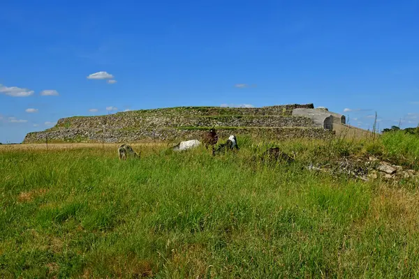 Arzon Frankreich Juni 2021 Der Petit Mont Cairn Port Crouesty — Stockfoto