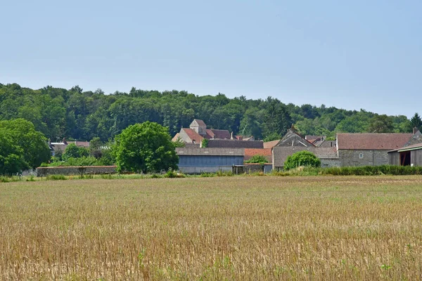 アルティス フランス 2021年7月21日 夏の絵のような村 — ストック写真