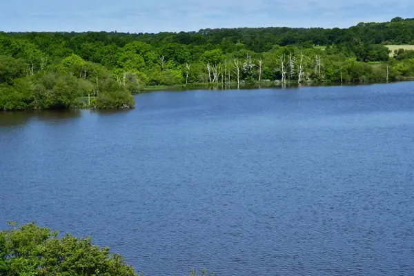 Sarzeau France June 2021 Pond Suscinio Castle — Stock Photo, Image