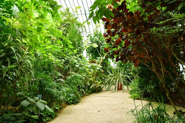 Parijs Frankrijk Juli 2021 Auteuil Greehouses Tuin Aangelegd 1898 — Stockfoto