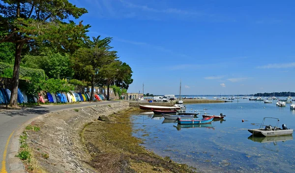 Sarzeau France June 2021 Logeo Port — Stock Photo, Image