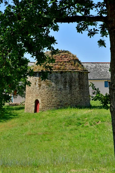 Sarzeau Γαλλία Ιουνίου 2021 Περιστεριώνας Του Κάστρου Suscinio — Φωτογραφία Αρχείου