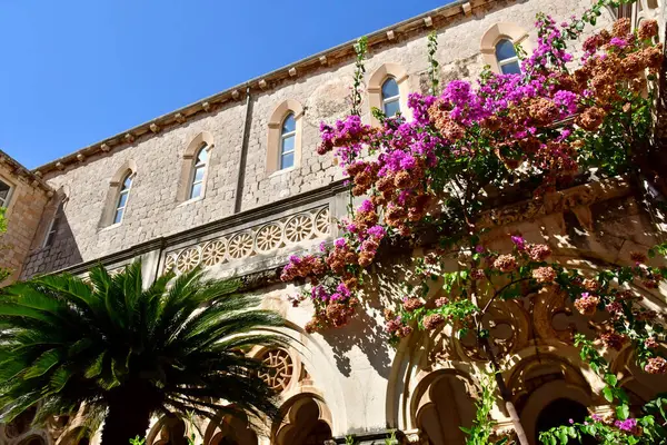 Dubrovnik Croácia Setembro 2021 Pitoresco Museu Mosteiro Dominicano — Fotografia de Stock