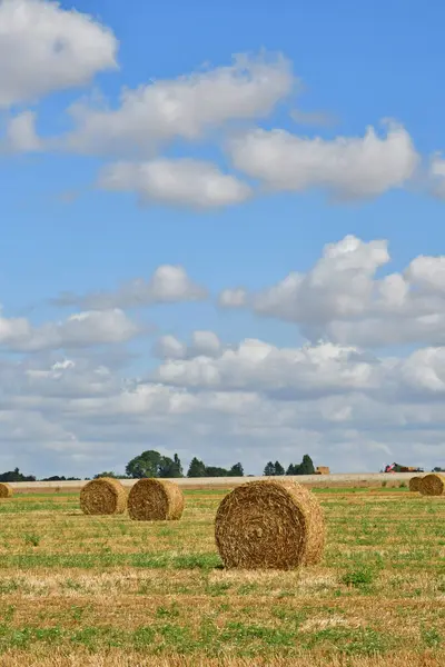 Suzal France August 2021 Fields Suzay — Stock Photo, Image