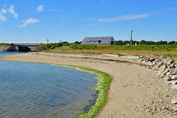 Tour Parc Frankrike Juni 2021 Landskap Runt Banastere Byn — Stockfoto