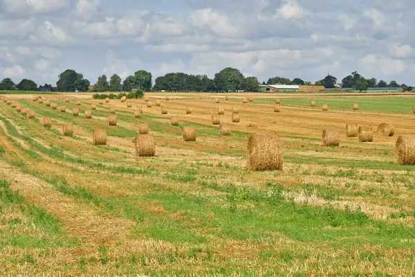 Suzal France August 2021 Fields Suzay — Stock Photo, Image