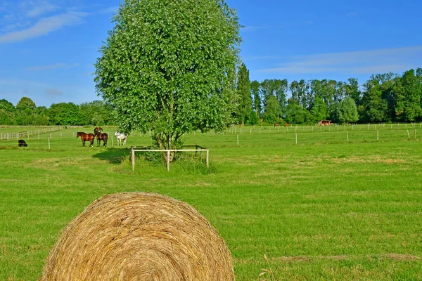 Aincourt Francia Luglio 2021 Pittoresco Villaggio Estate — Foto Stock