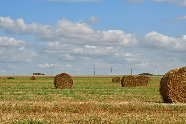 Suzal France August 2021 Fields Suzay — Stock Photo, Image