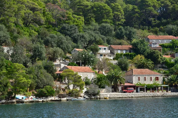 Mljet Island Croatia September 2021 Picturesque Island Summer — Stock Photo, Image