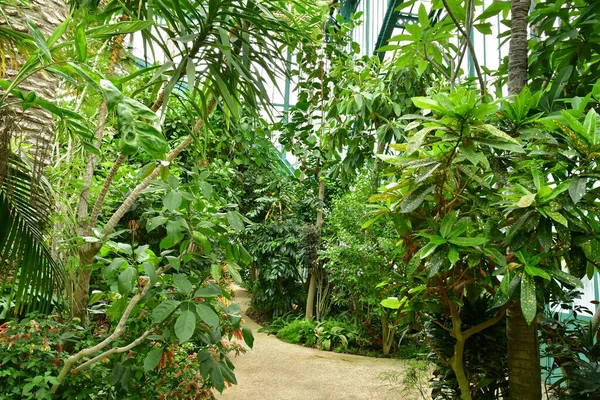 Parigi Francia Luglio 2021 Giardino Delle Serre Auteuil Creato Nel — Foto Stock