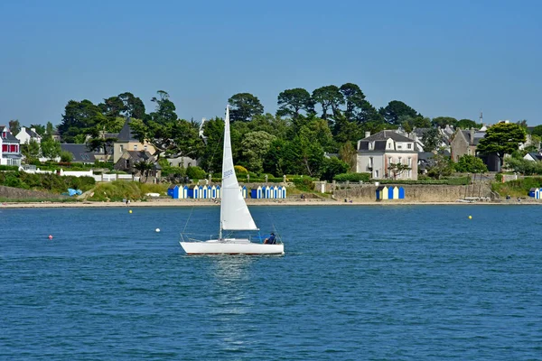 프랑스 June 2021 Ile Aux Moines Morbihan Gulf — 스톡 사진