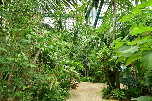 Paris Frankrike Juli 2021 Auteuil Greehouses Trädgård Skapades 1898 — Stockfoto