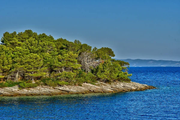 Ostrov Mljet Chorvatsko Září 2021 Malebný Ostrov Létě — Stock fotografie