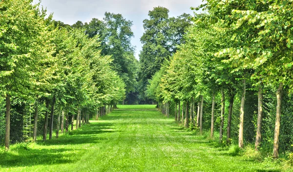 Frankrijk, de marie antoinette landgoed in het park van versailles pa — Stockfoto