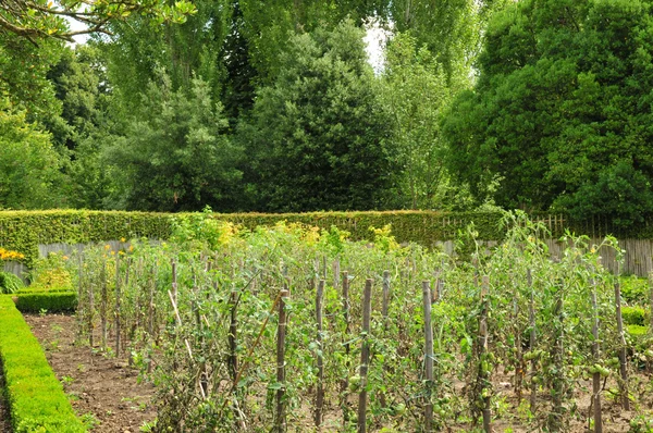 France, the Marie Antoinette estate in the parc of Versailles Pa — Stock Photo, Image