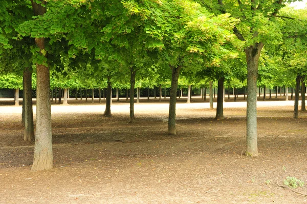 Fransa, marie antoinette Emlak yılında versailles pa parc — Stok fotoğraf